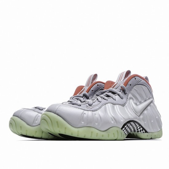 Nike Air Foamposite Pro Premium 'Pure Platinum'
  616750 003