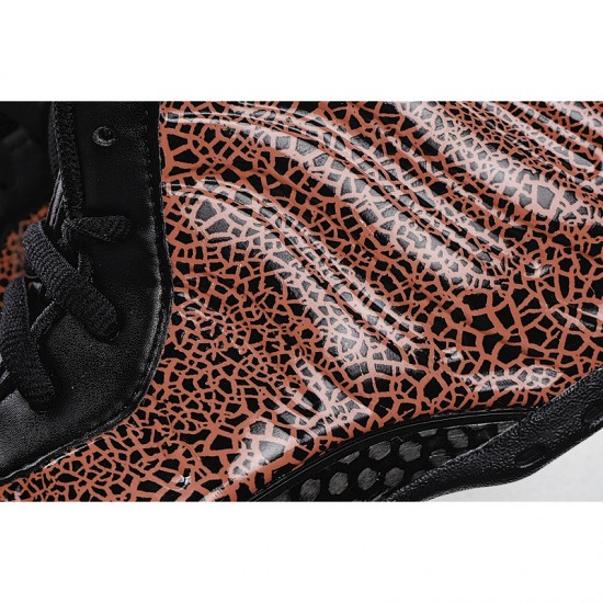 Nike Air Foamposite One 'Cracked Lava'
  314996 014