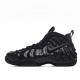 Nike Air Foamposite Pro 'Sequoia'
  624041 304