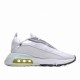 Nike Air Max 2090  CZ7555 100