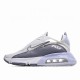 Wmns Air Max 2090 'Sail Cool Grey'
  CT1290 101