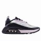 Nike Air Max 2090 'Photon Dust'
  CT7695 400